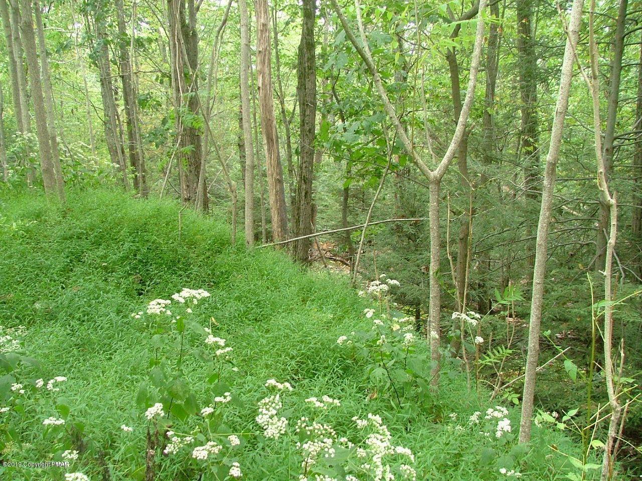 2. Land for Sale at 9 Spruce Drive Swiftwater, Pennsylvania 18370 United States