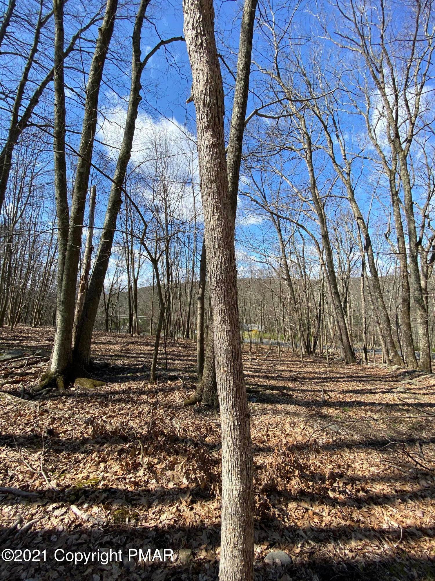 3. Land for Sale at 209 Sec 3f Meadow Lark Circle Bushkill, Pennsylvania 18324 United States