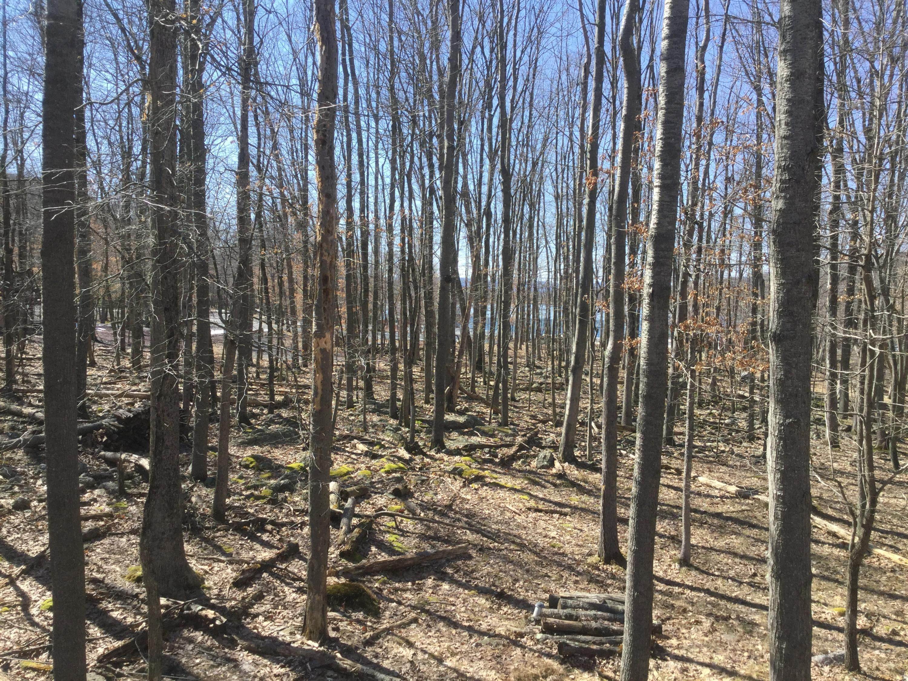 2. Land for Sale at 336 Line Mountain Road Sabael, New York 12864 United States