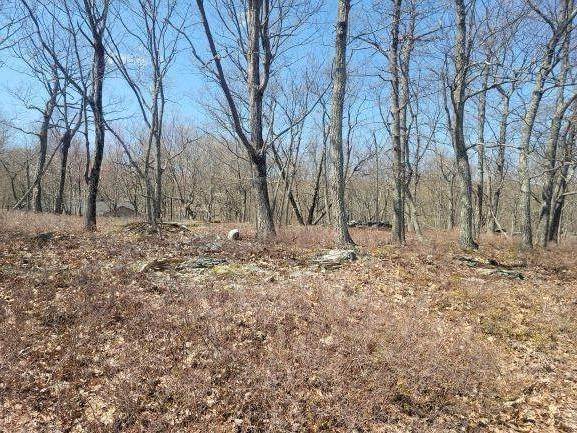 2. Land for Sale at Beaver Run Road Sabael, New York 12864 United States