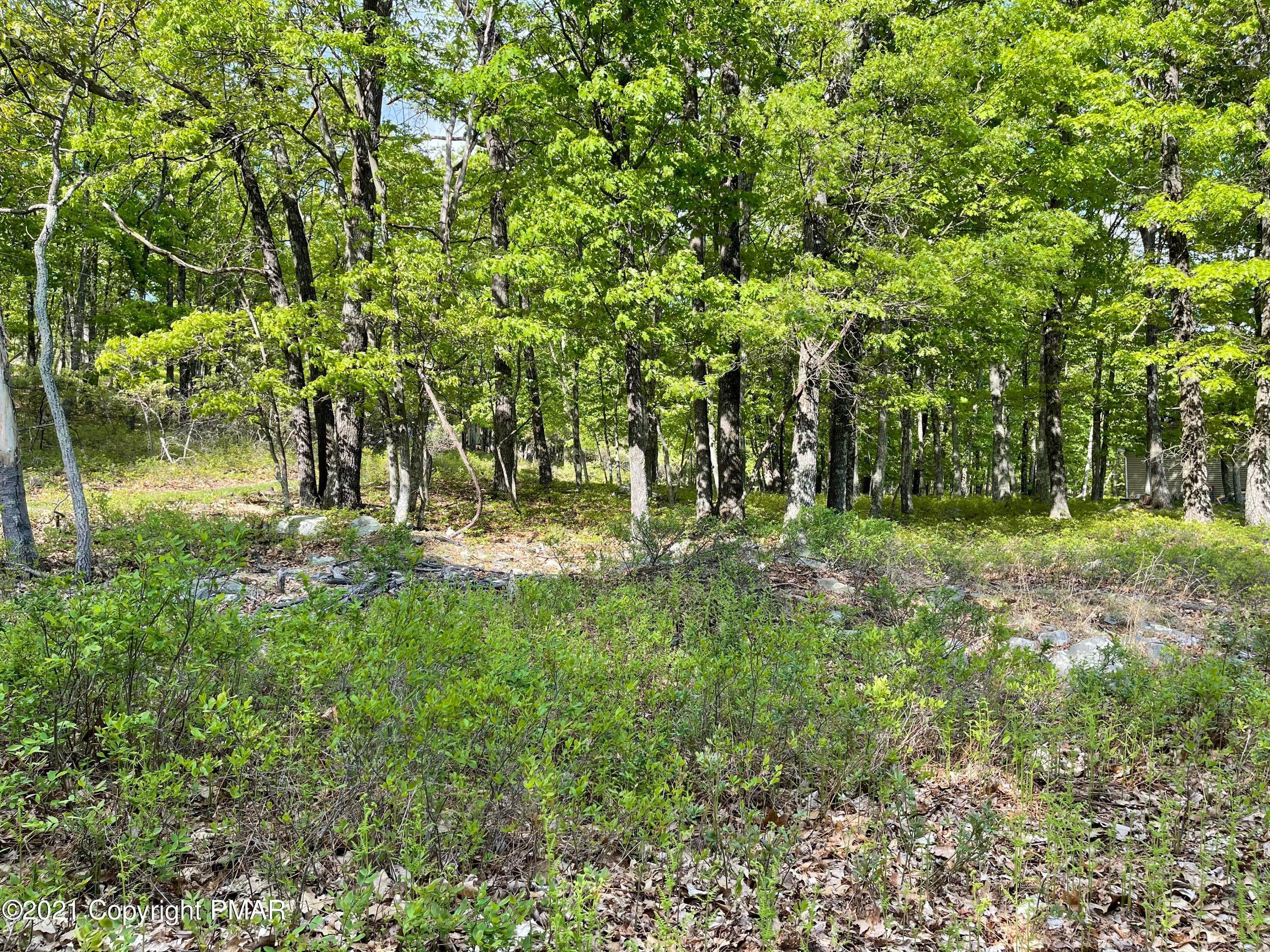 4. Land for Sale at Rocky Ridge Ln 51 East Stroudsburg, Pennsylvania 18302 United States