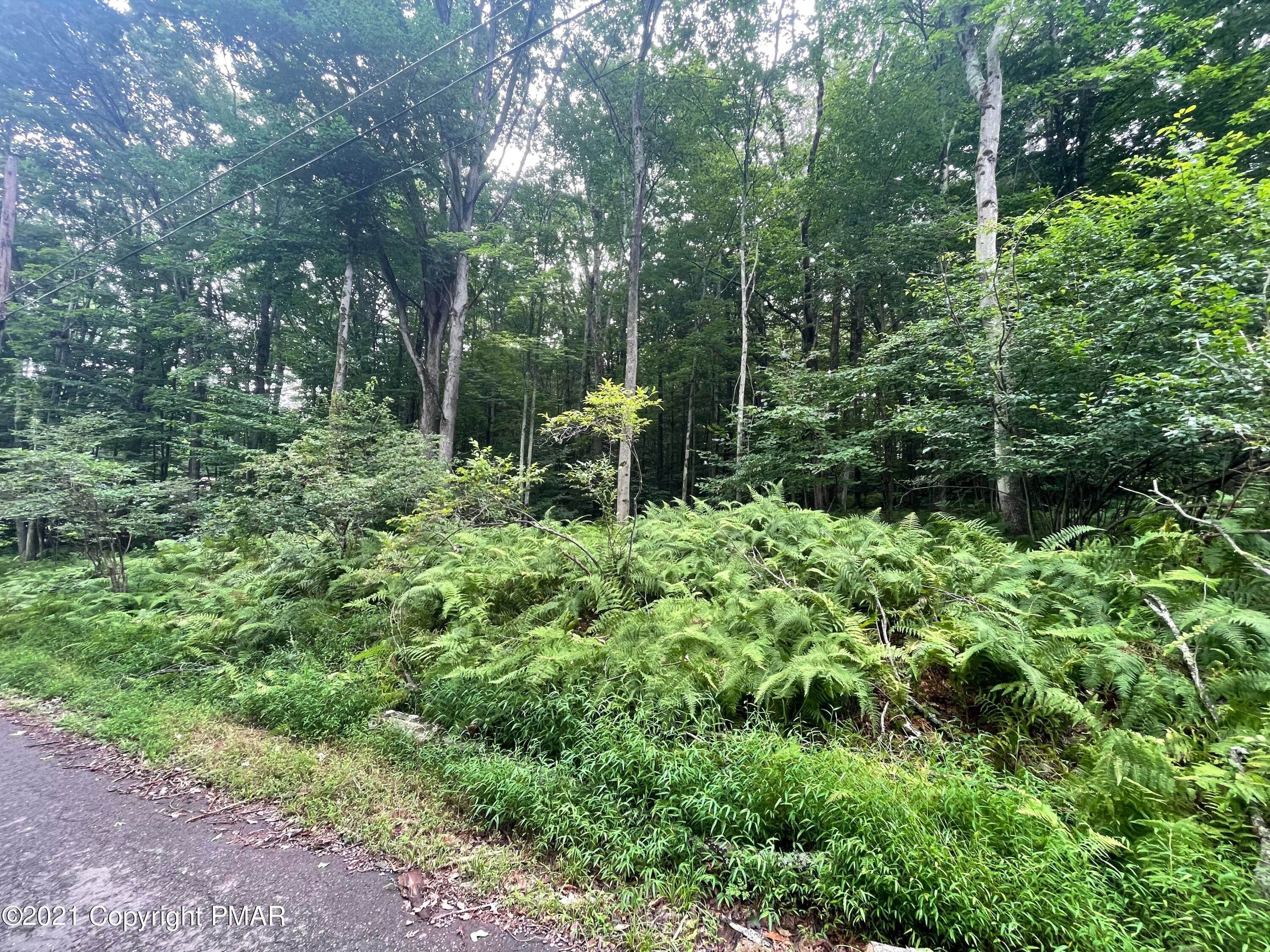 Land for Sale at 1216 Old Ford Road White Haven, Pennsylvania 18661 United States