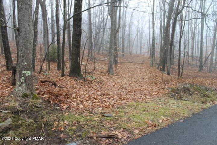 Land for Sale at 2011 Little Billy Ln Tobyhanna, Pennsylvania 18466 United States