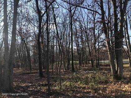 3. Land for Sale at 406 Deerfoot Lane Albrightsville, Pennsylvania 18210 United States