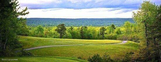 5. Land for Sale at 91 Pinecrest Dr Pocono Pines, Pennsylvania 18350 United States