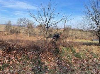 4. Land for Sale at 87 Shepherds Hill Dr Bangor, Pennsylvania 18013 United States