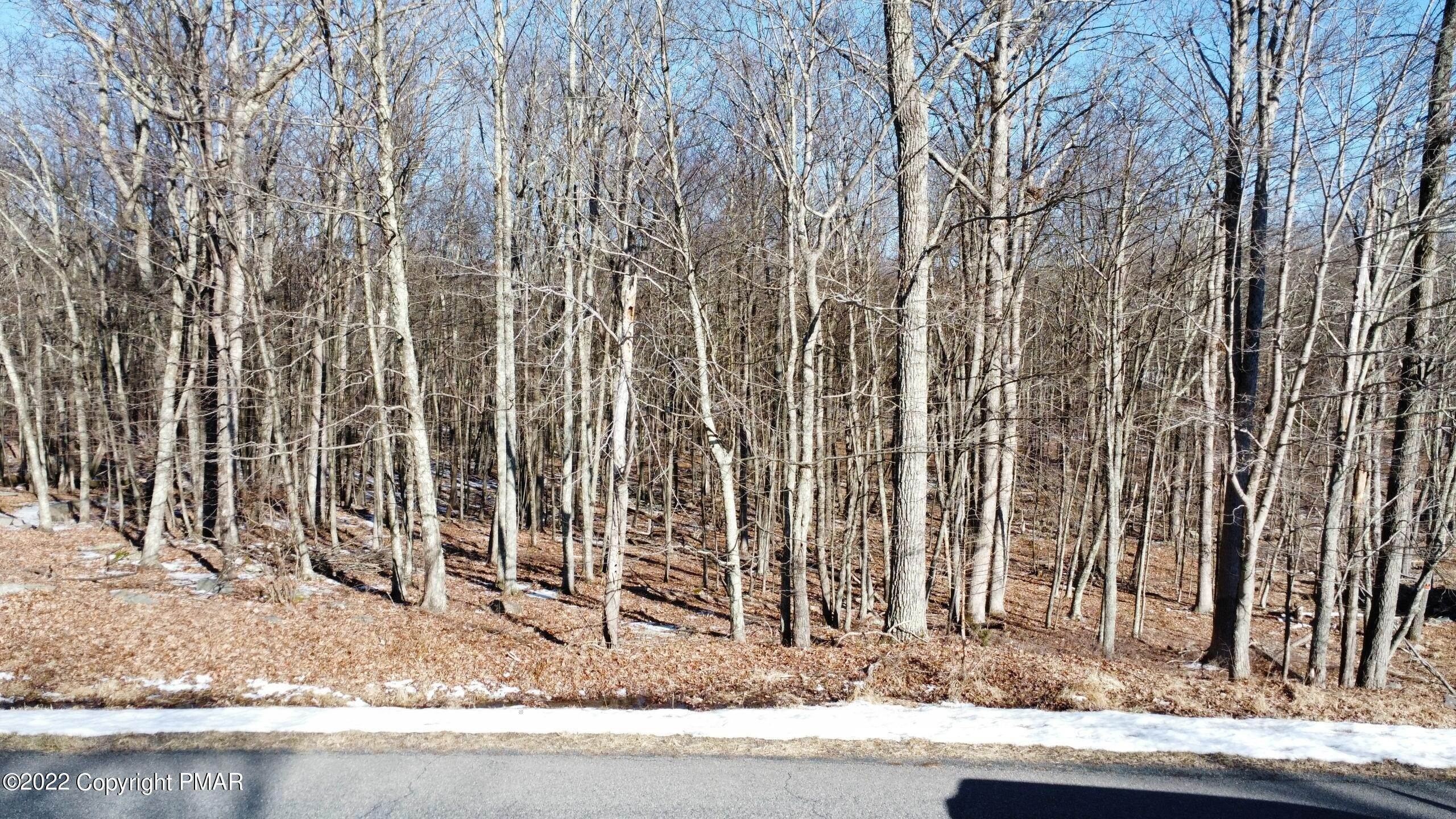 2. Land for Sale at Lot 15 Brandyshire Dr Tamiment, Pennsylvania 18371 United States