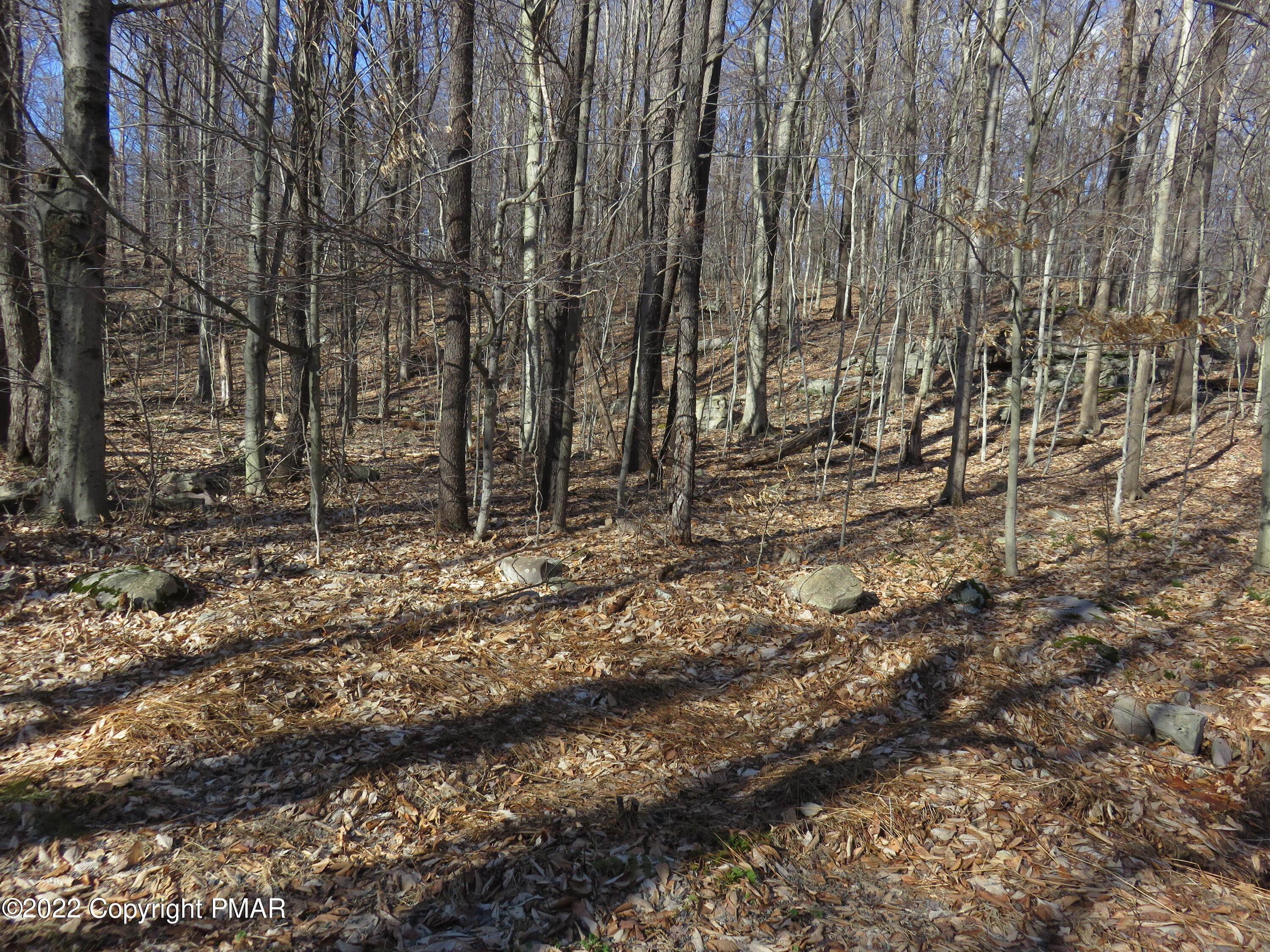 4. Land for Sale at Lot 31 Deerfield Drive Newfoundland, Pennsylvania 18445 United States