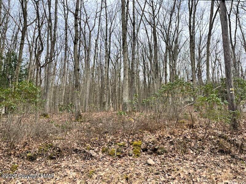 1. Land for Sale at 1240 Woodhaven Dr White Haven, Pennsylvania 18661 United States