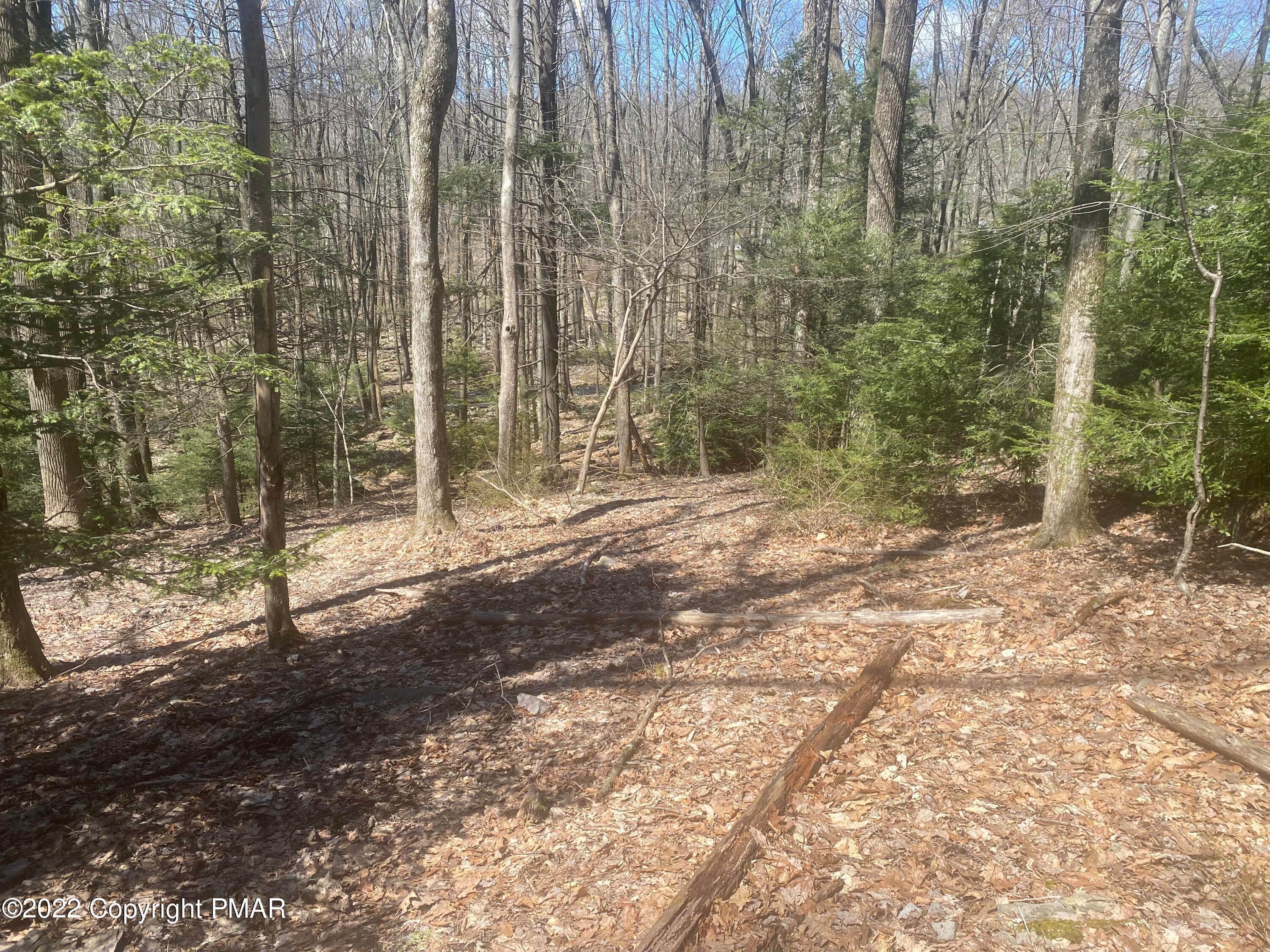 10. Land for Sale at Lot 73 Deerfield Way Scotrun, Pennsylvania 18355 United States
