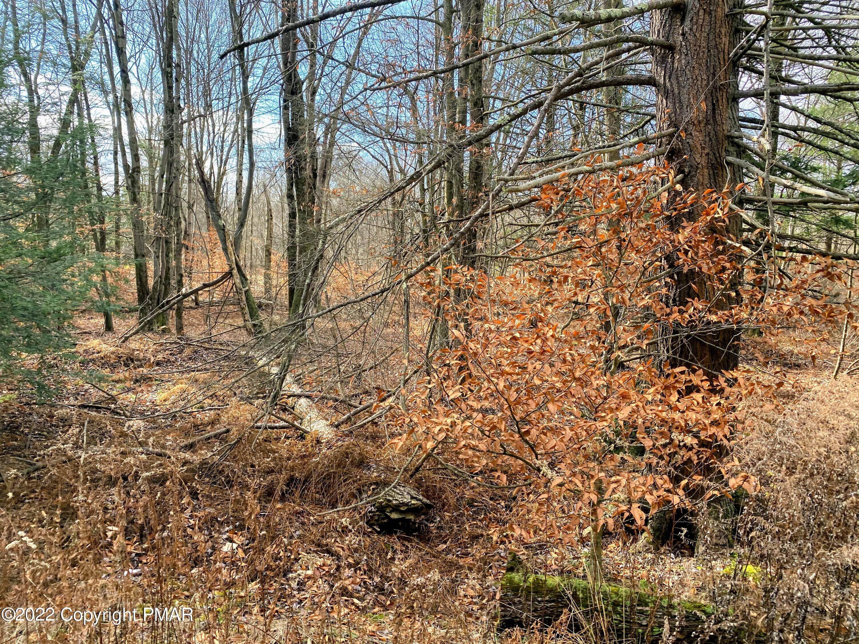 5. Land for Sale at 11 Driftwood Road Blakeslee, Pennsylvania 18610 United States