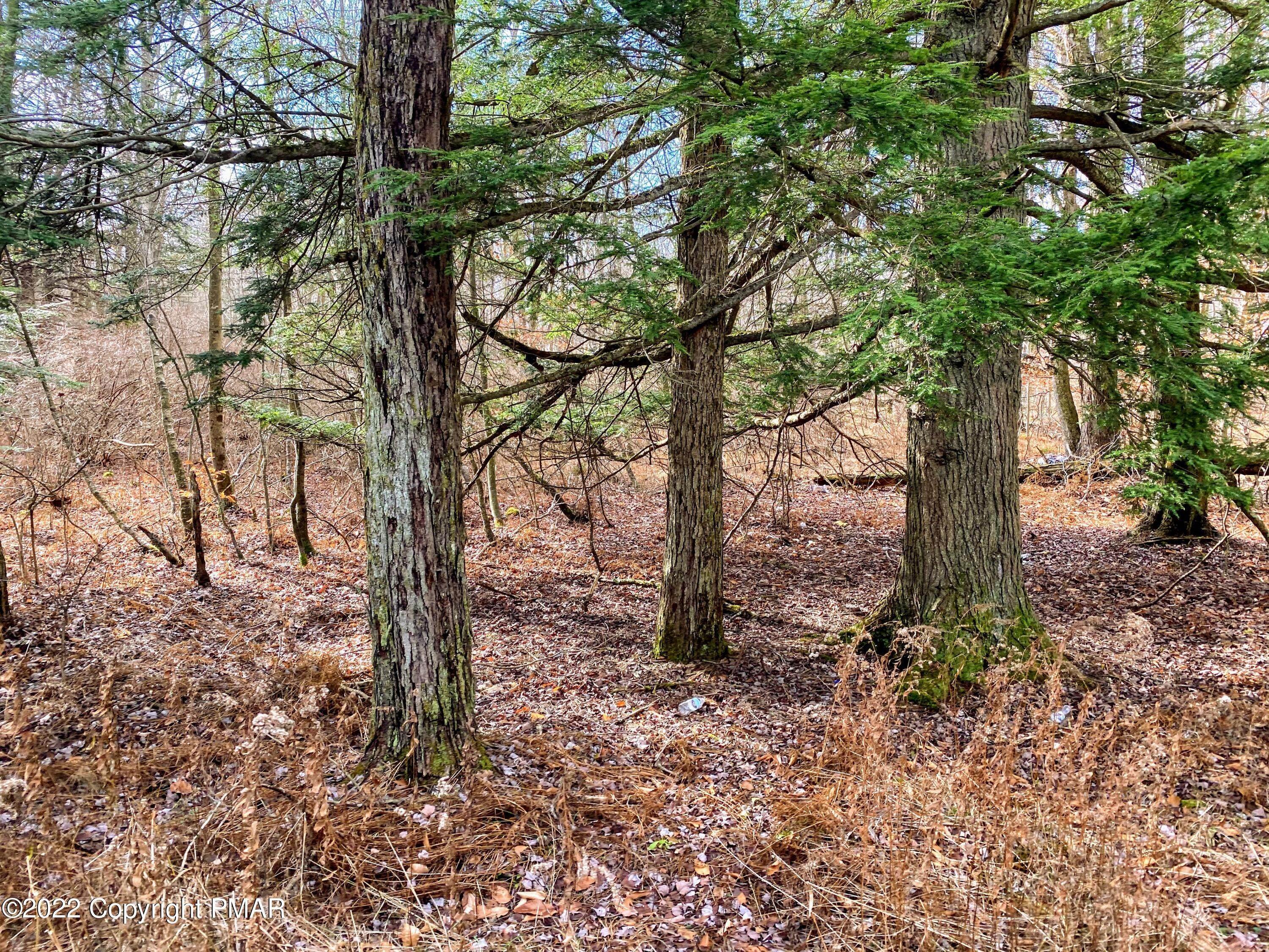 Land for Sale at 14 Driftwood Road Blakeslee, Pennsylvania 18610 United States