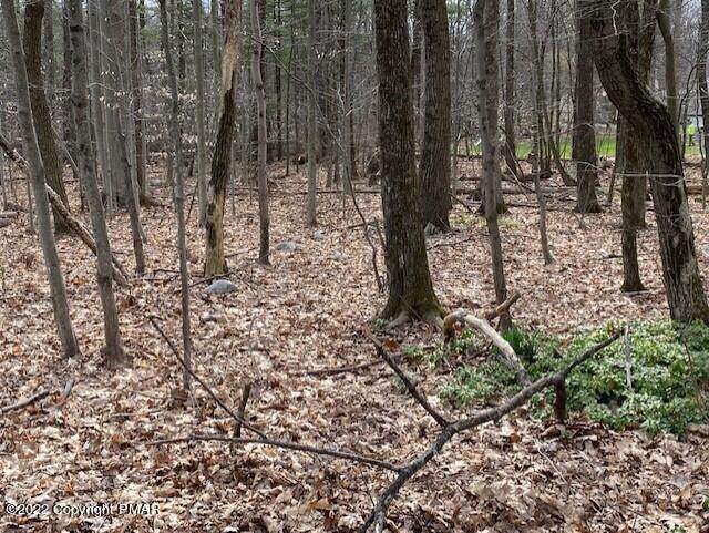 1. Land for Sale at 216 Charles Folley Rd Bartonsville, Pennsylvania 18321 United States