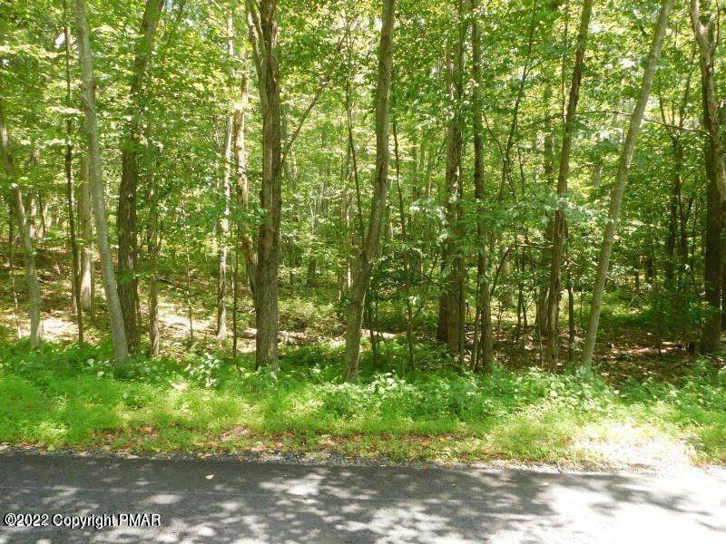2. Land for Sale at 1208 Blue Ridge Dr Canadensis, Pennsylvania 18325 United States