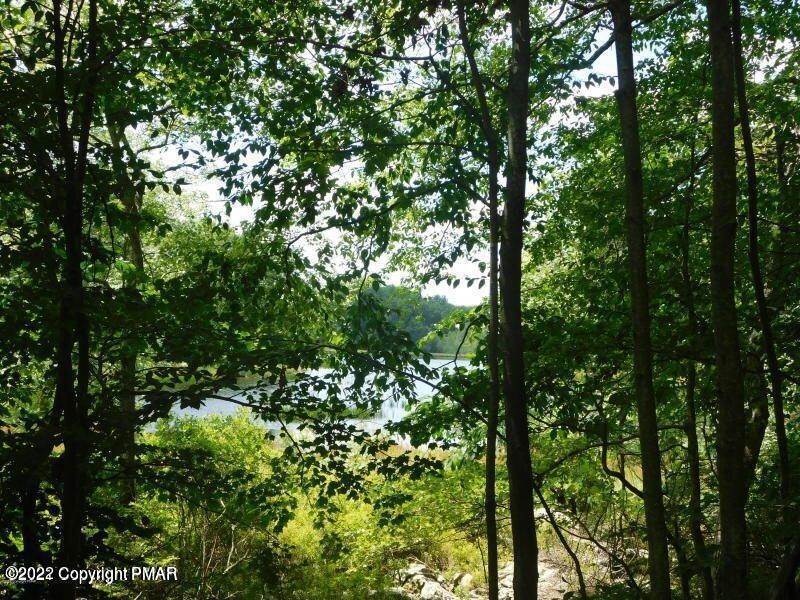 4. Land for Sale at 1208 Blue Ridge Dr Canadensis, Pennsylvania 18325 United States