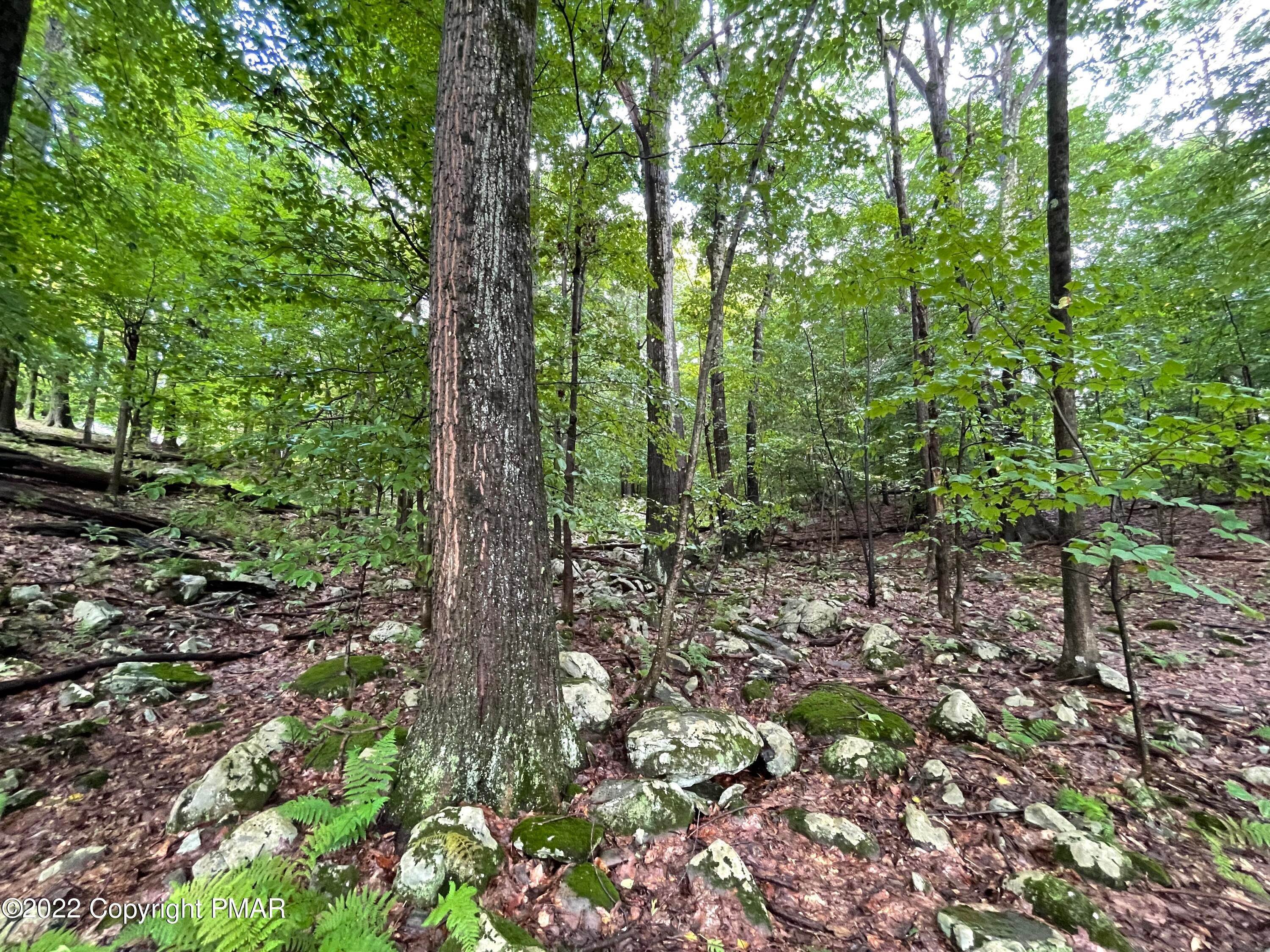 1. Land for Sale at 120-123 Bass Ct Canadensis, Pennsylvania 18325 United States
