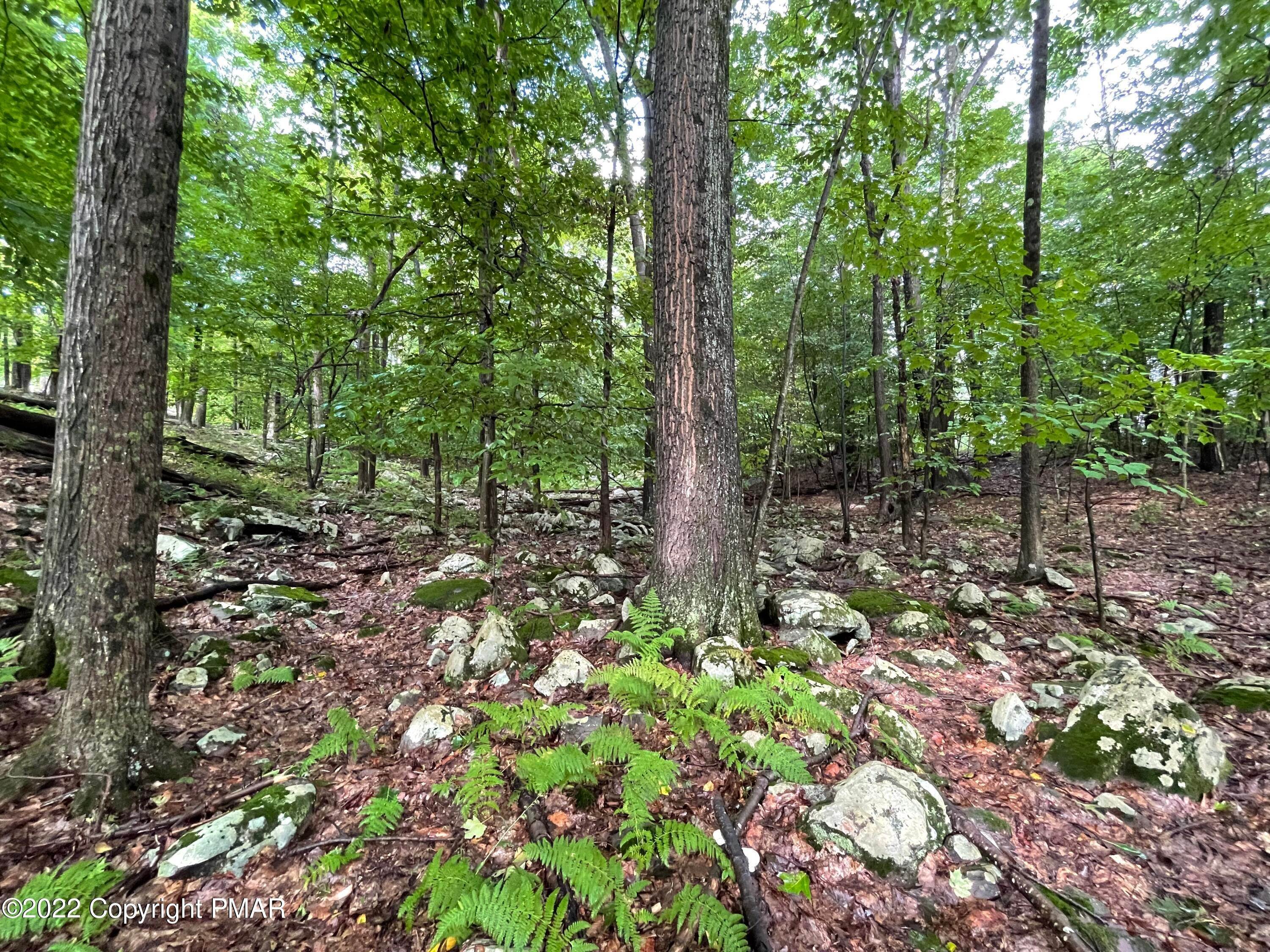 Land for Sale at 122-123 Lake In The Clouds Canadensis, Pennsylvania 18325 United States