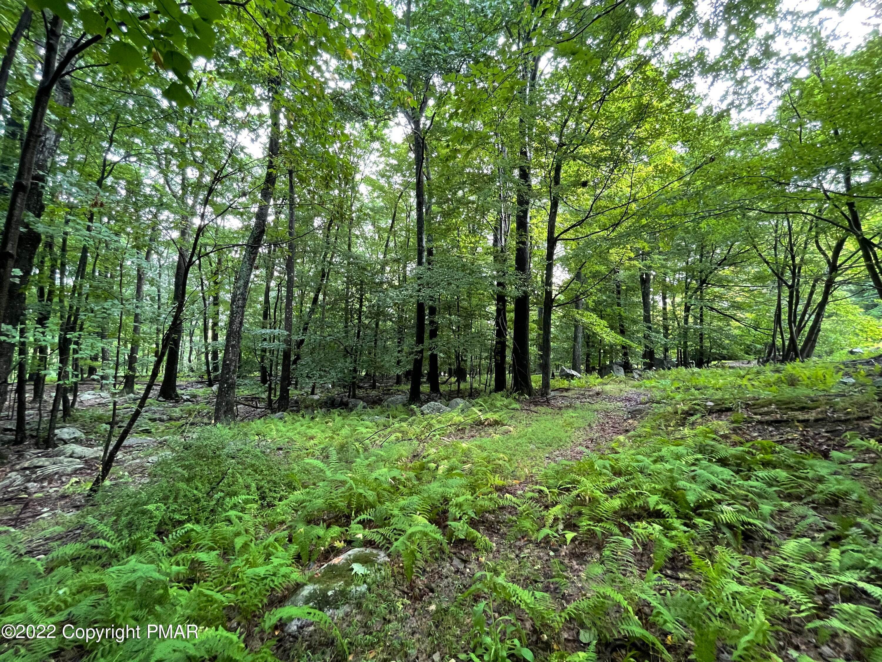 6. Land for Sale at 122-123 Lake In The Clouds Canadensis, Pennsylvania 18325 United States
