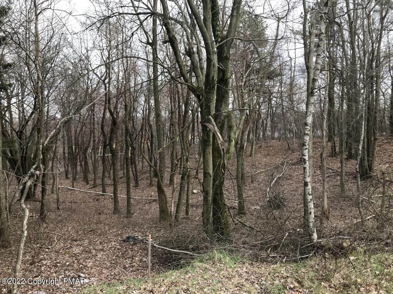 5. Land for Sale at 702 Clearview Ct East Long Pond, Pennsylvania 18334 United States