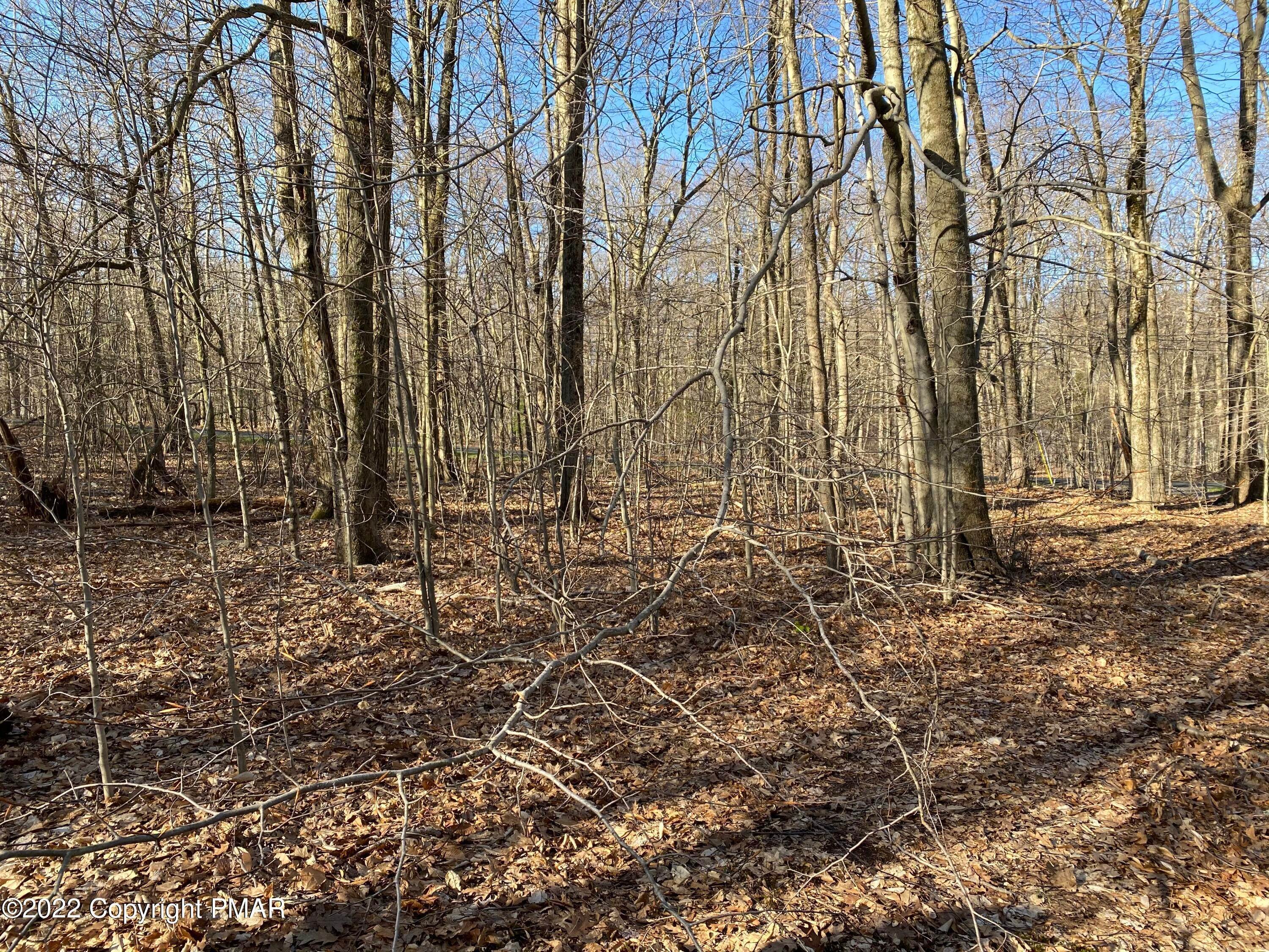 4. Land for Sale at 1252 Little Billy Ln Tobyhanna, Pennsylvania 18466 United States