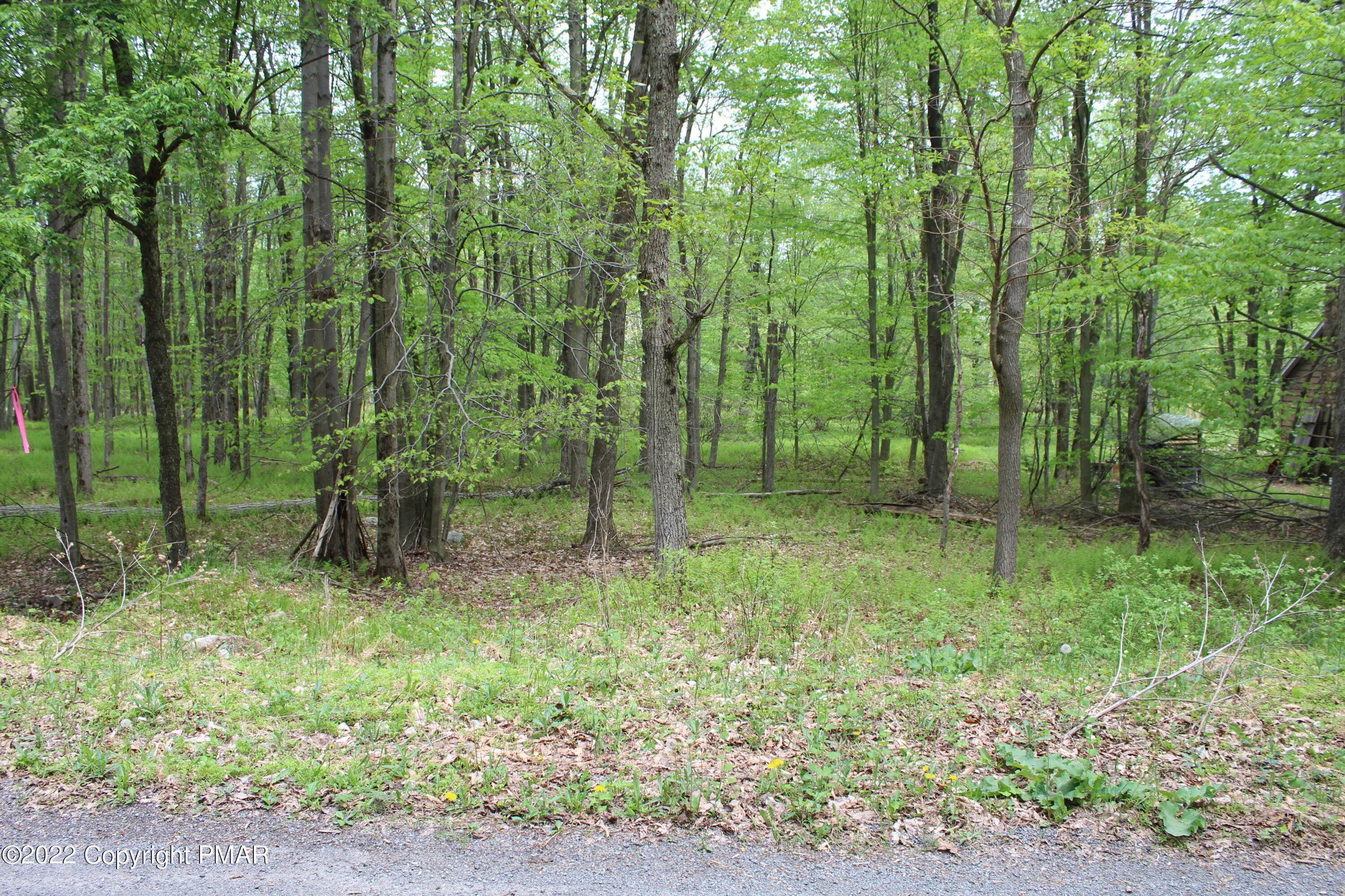 1. Land for Sale at 176 Wolf Way Dr White Haven, Pennsylvania 18661 United States