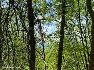 4. Land for Sale at 261 Sky View Ter Effort, Pennsylvania 18330 United States