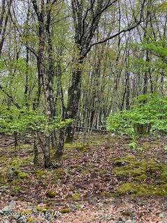 3. Land for Sale at Spring Court Bushkill, Pennsylvania 18324 United States