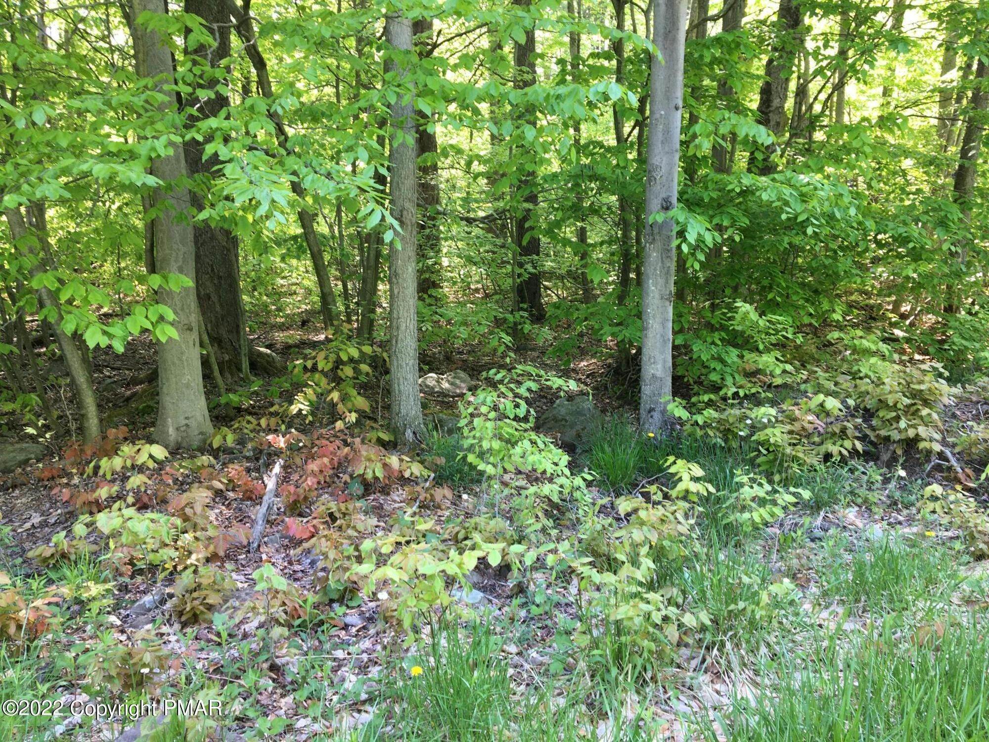 3. Land for Sale at 3 Miller Drive Pocono Pines, Pennsylvania 18350 United States