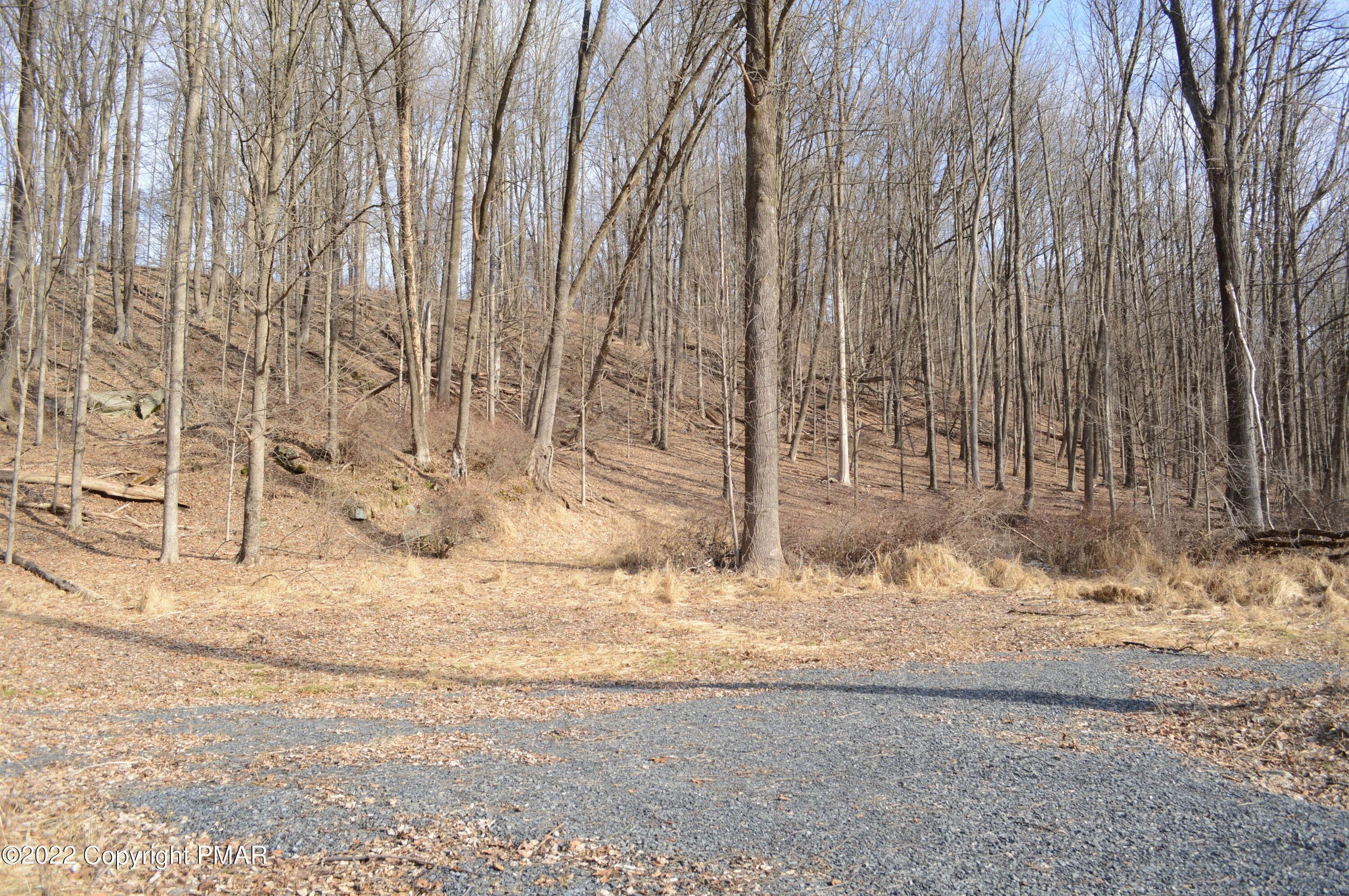 5. Land for Sale at Sr 2006/Cherry Valley Rd Stroudsburg, Pennsylvania 18360 United States