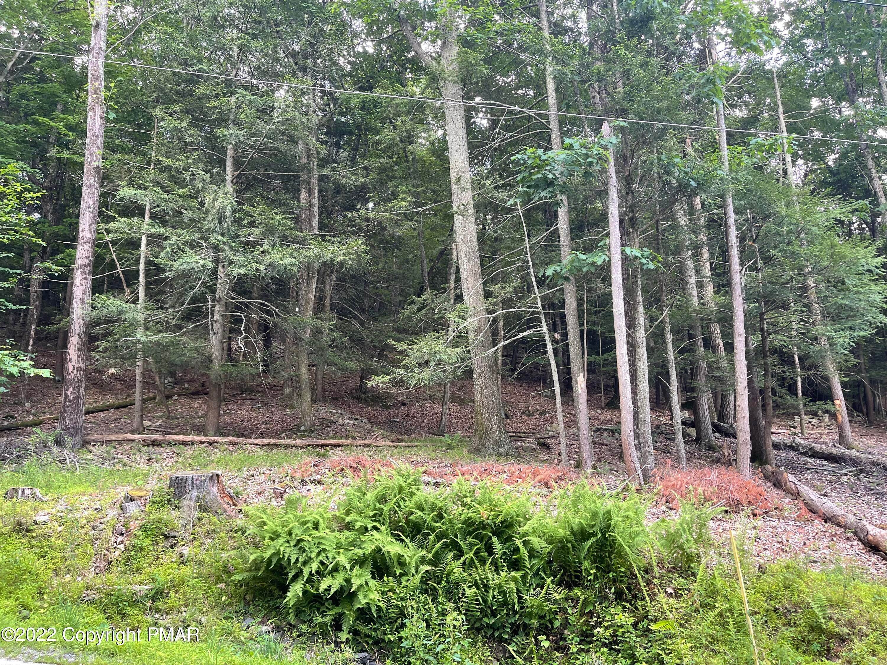 2. Land for Sale at Lot 24 Circle H Road East Stroudsburg, Pennsylvania 18302 United States