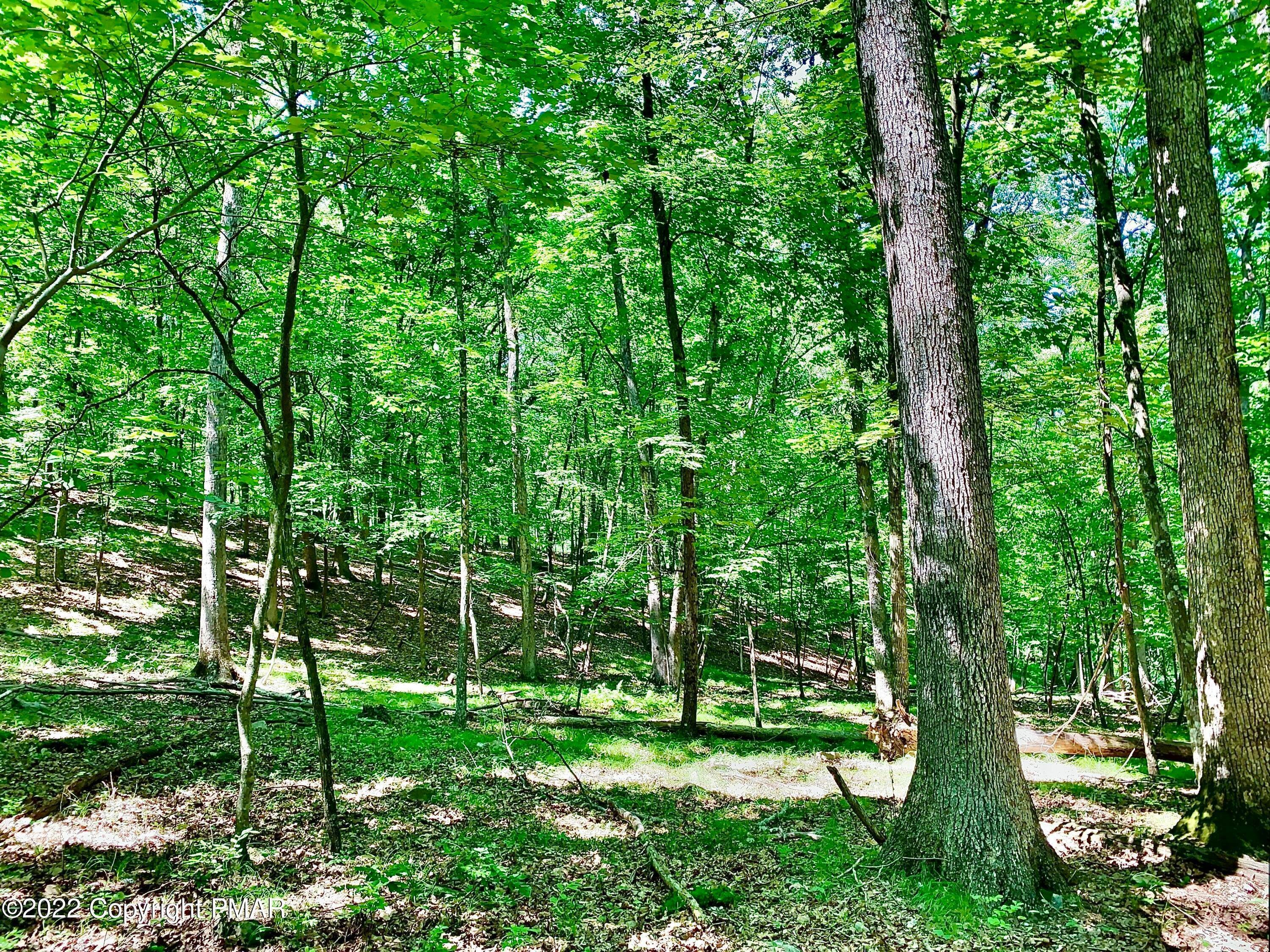 9. Land for Sale at 6 Hutson Hill Road East Stroudsburg, Pennsylvania 18302 United States