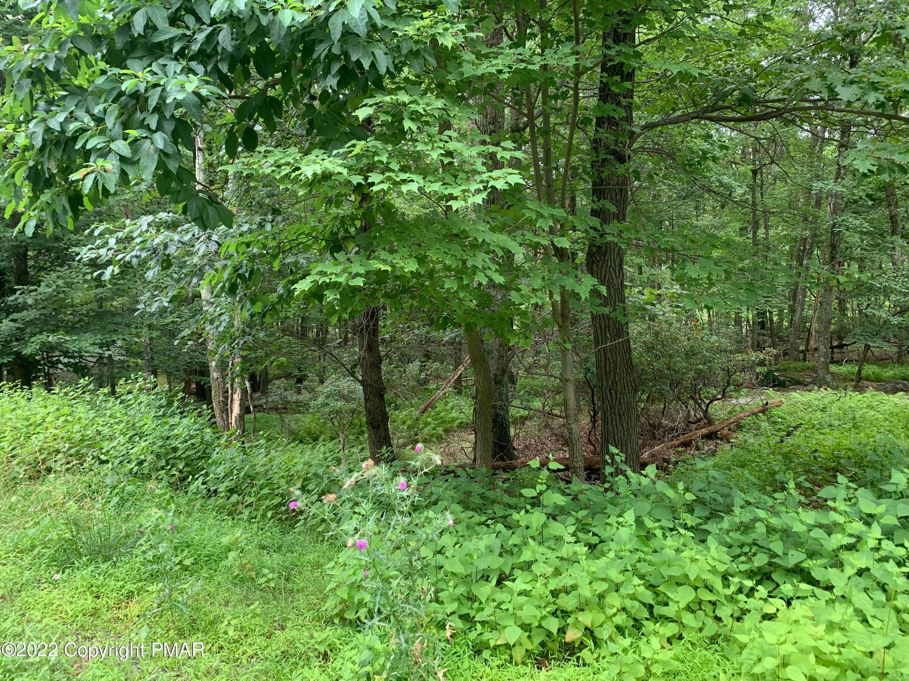 Land for Sale at Sunset Dr Swiftwater, Pennsylvania 18370 United States