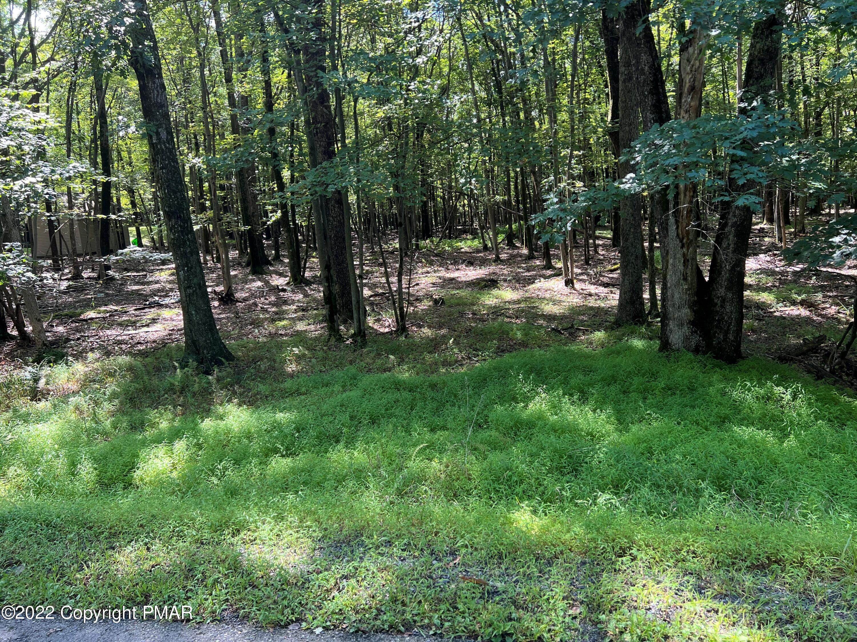 2. Land for Sale at Buck Hill Road Albrightsville, Pennsylvania 18210 United States