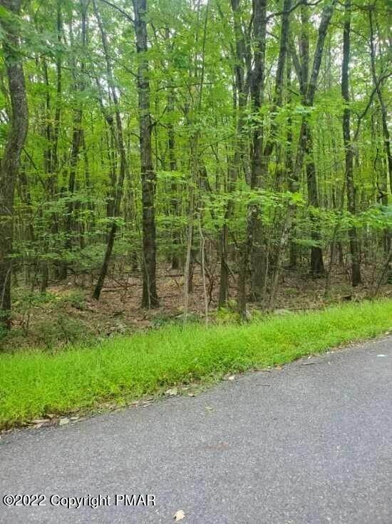 3. Land for Sale at Lot 13 Green Forrest Ct Kunkletown, Pennsylvania 18058 United States