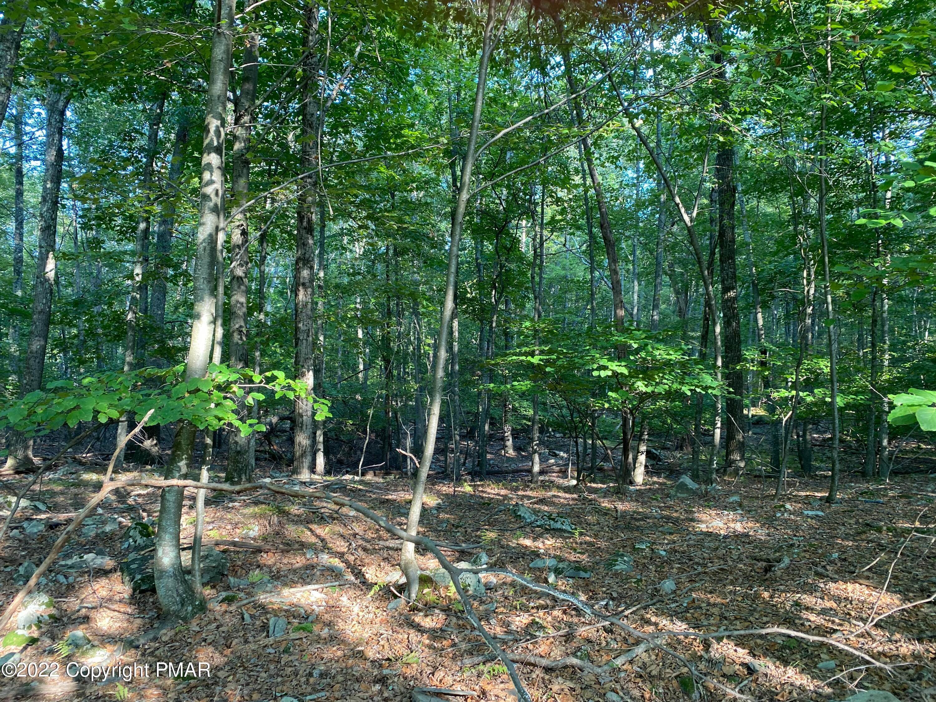3. Land for Sale at Lot 401 Wildwood Lane Canadensis, Pennsylvania 18325 United States