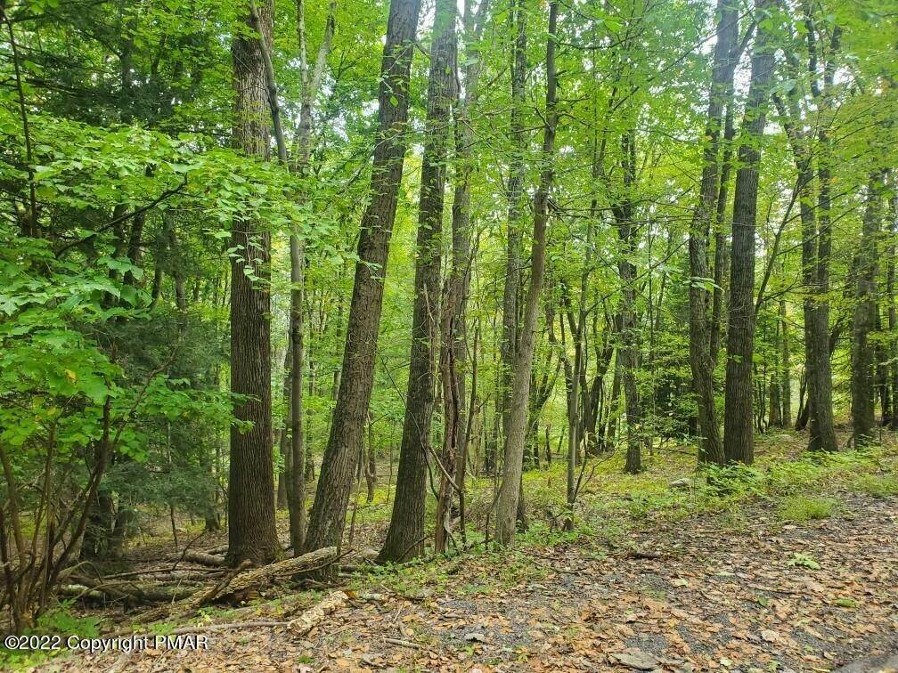 4. Land for Sale at Lot 24 Cayuga Ct Effort, Pennsylvania 18330 United States