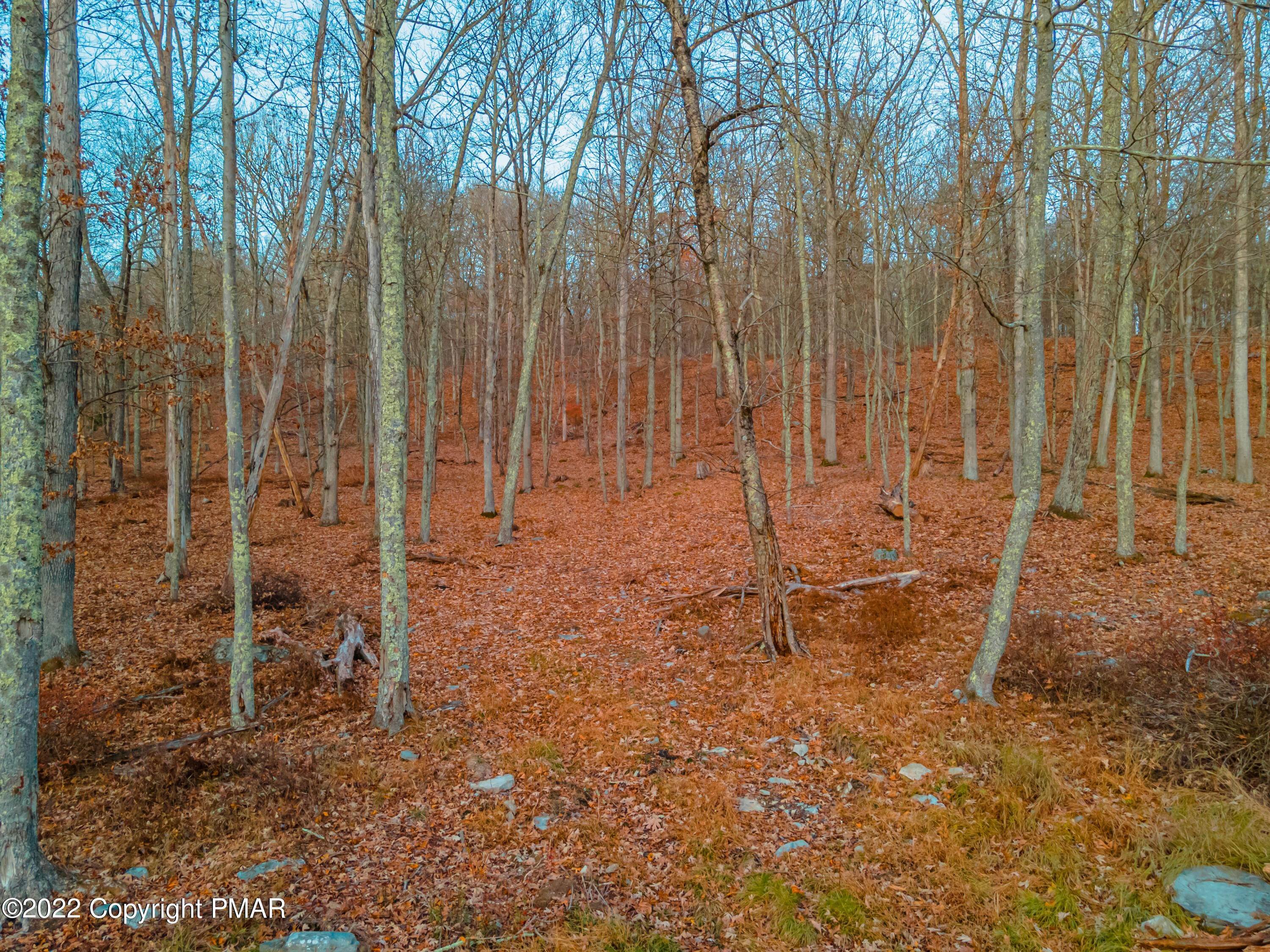 21. Land for Sale at Address Not Available Sabael, New York 12864 United States