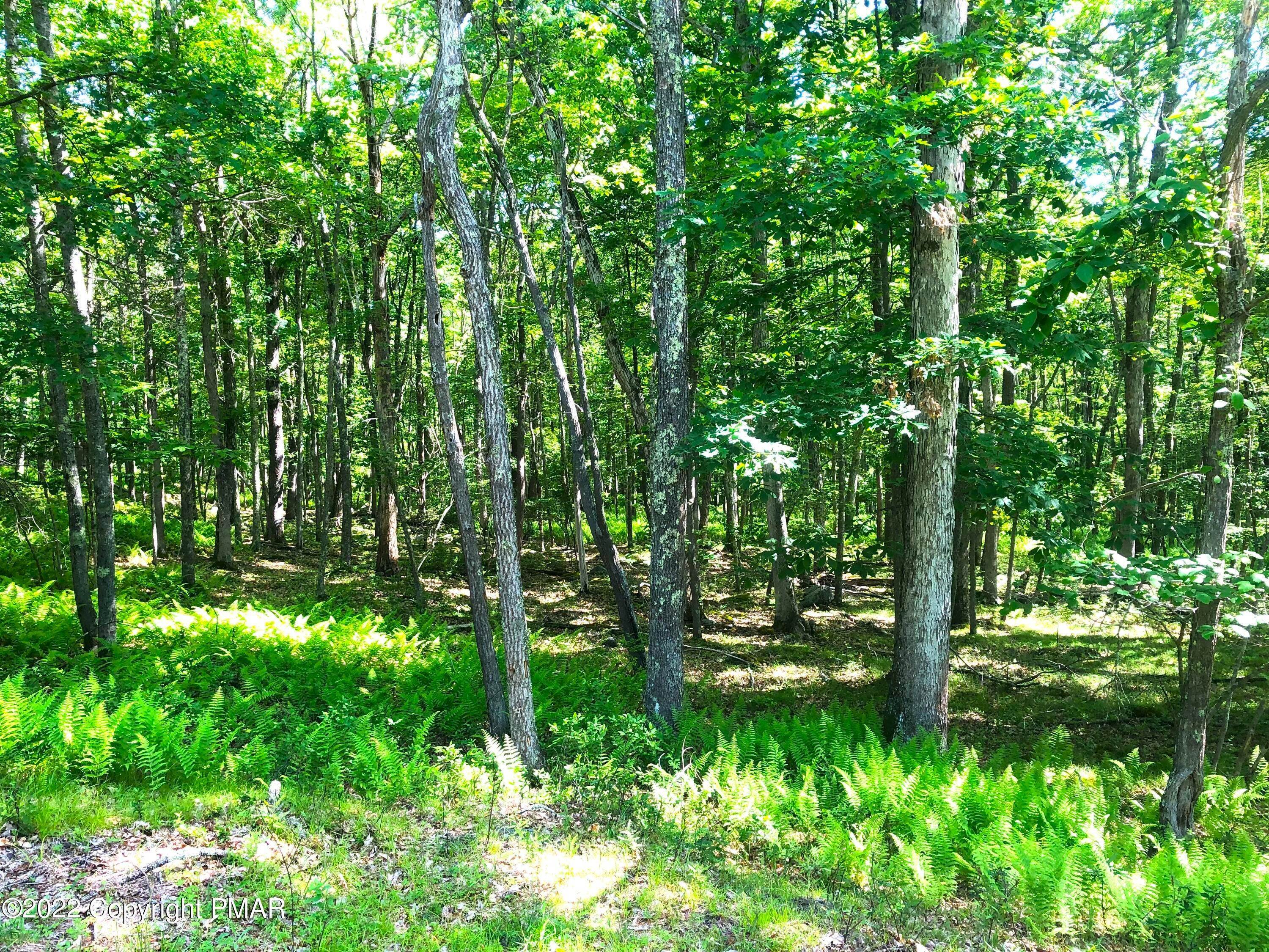 3. Land for Sale at 172 Tink Wig Dr Hawley, Pennsylvania 18428 United States