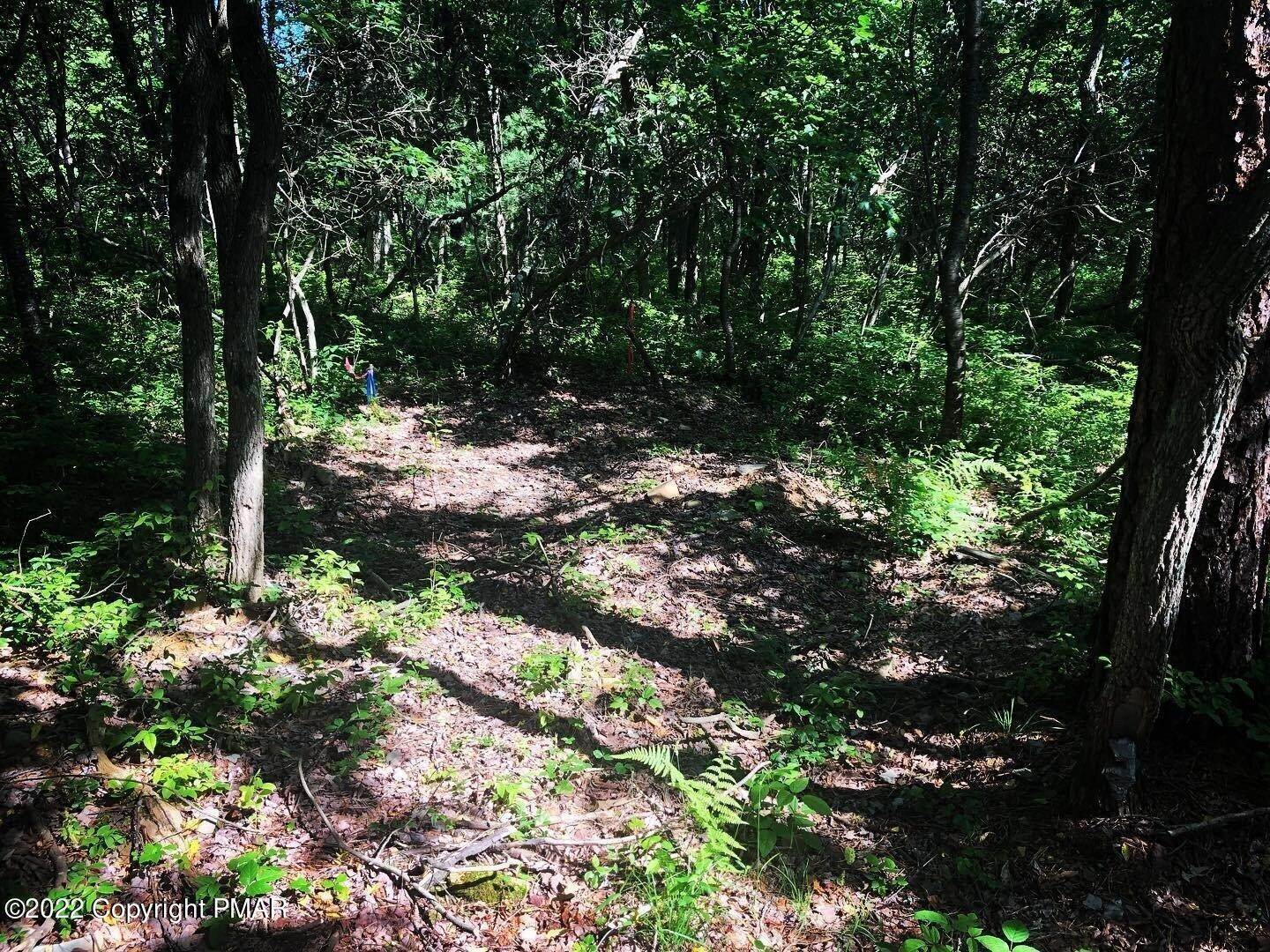 9. Land for Sale at 4110 Route 115 Blakeslee, Pennsylvania 18610 United States