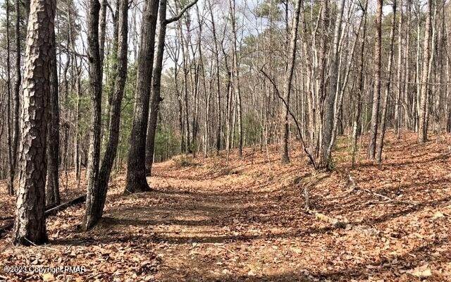 Land for Sale at 399 Mountain View Drive Hazle Township, Pennsylvania 18202 United States