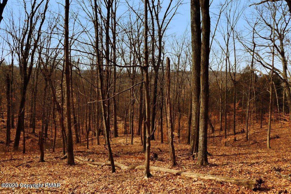 Land for Sale at Buckhill Road Albrightsville, Pennsylvania 18210 United States