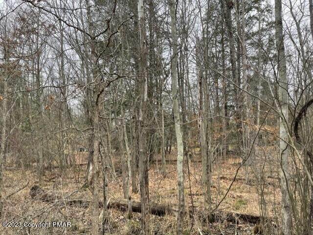 1. Land for Sale at Pleasant View Dr Kunkletown, Pennsylvania 18058 United States