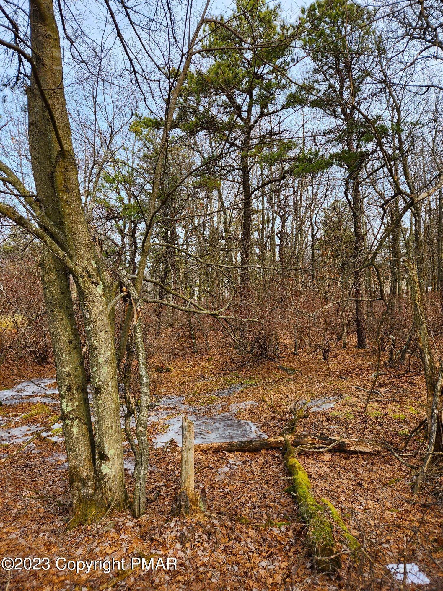 5. Land for Sale at 148 (7222) Saw Mill Road Long Pond, Pennsylvania 18334 United States