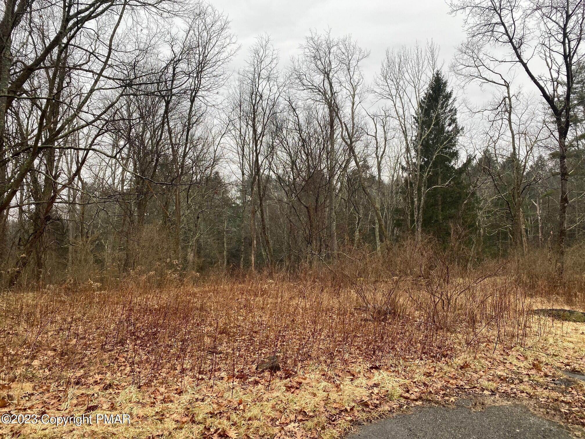 4. Land for Sale at Rt 447 Canadensis, Pennsylvania 18325 United States