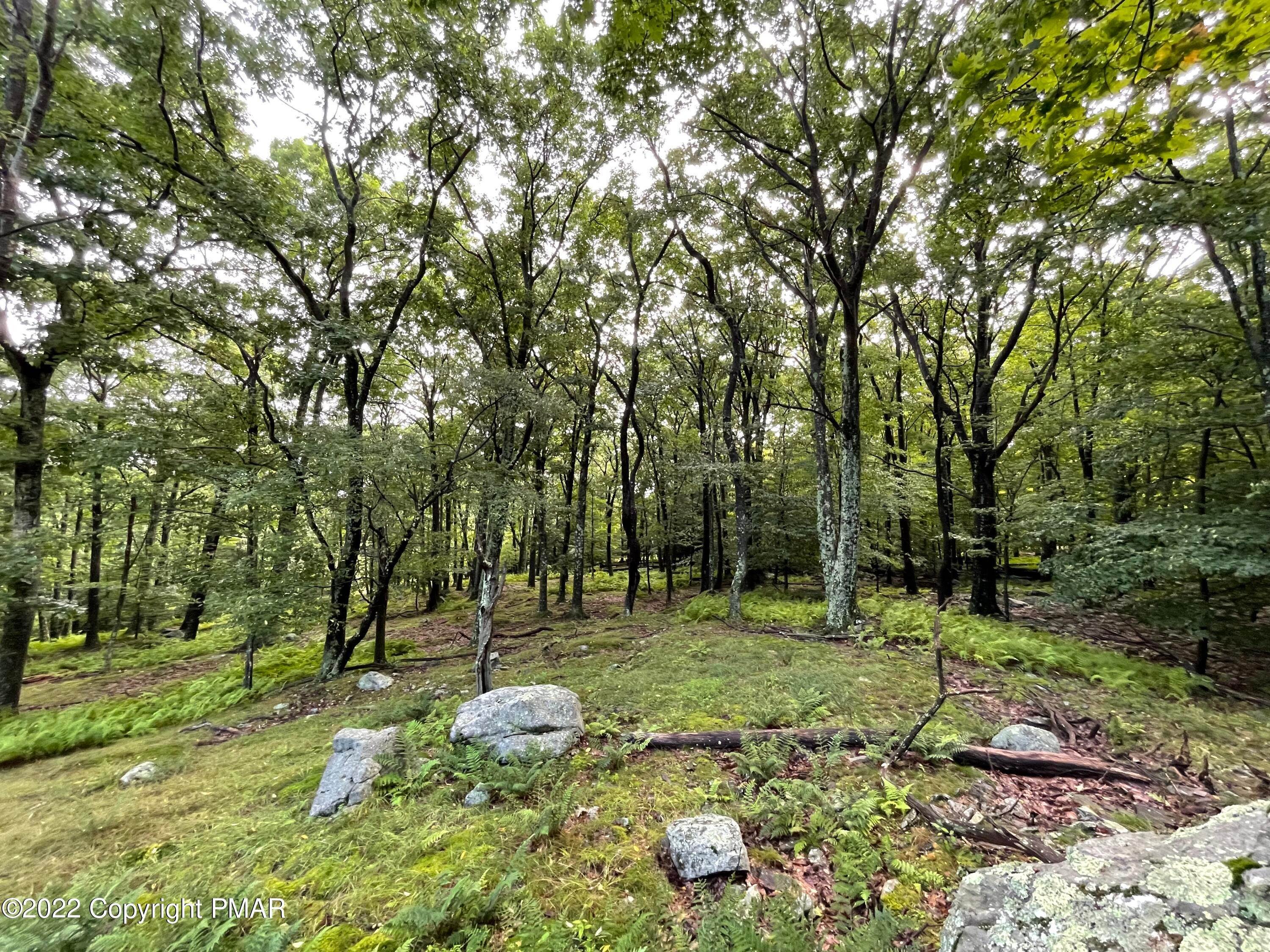 1. Land for Sale at 120-121 Bass Ct & Lake In The Clouds Road Canadensis, Pennsylvania 18325 United States