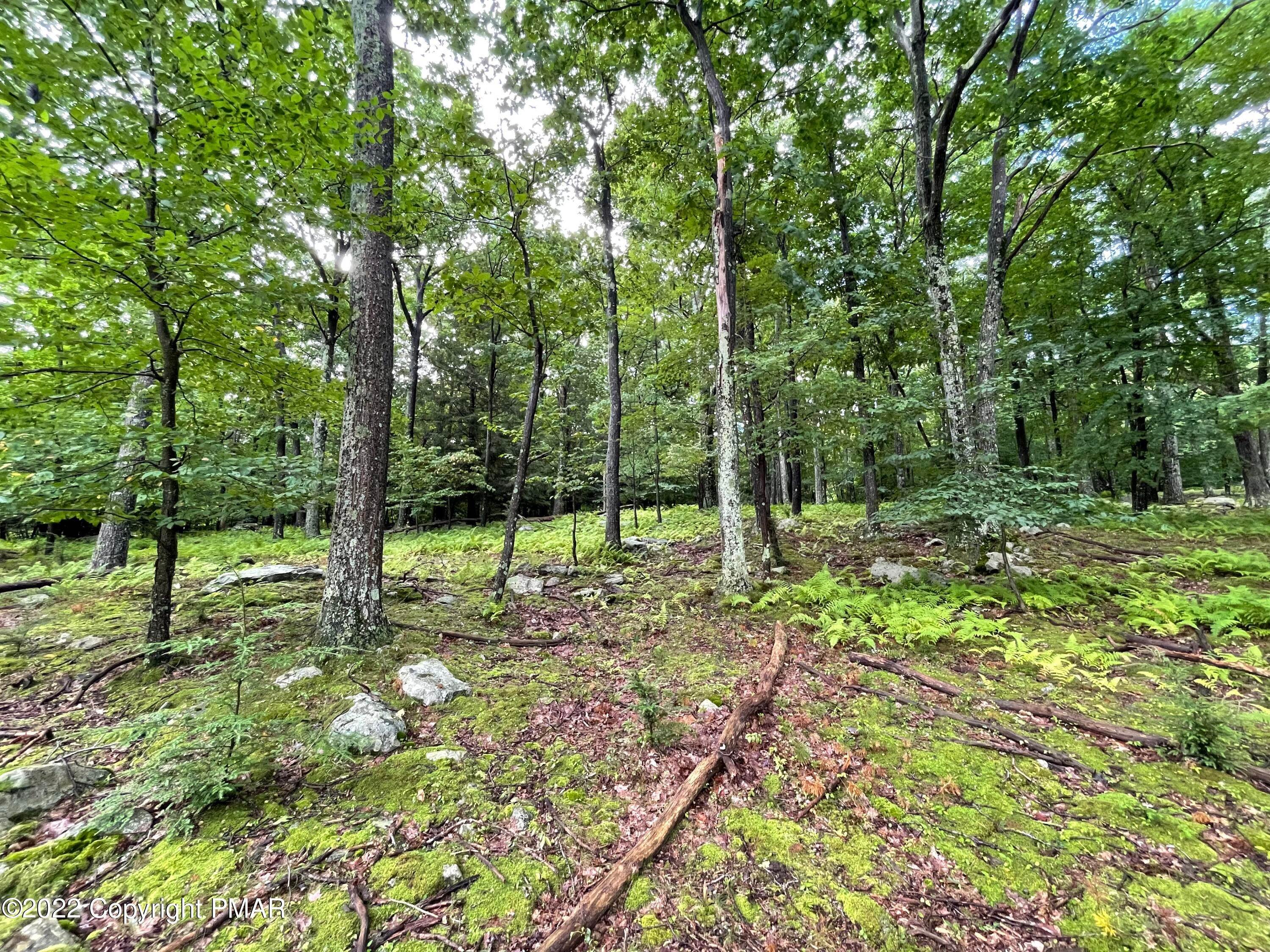 9. Land for Sale at 120-121 Bass Ct & Lake In The Clouds Road Canadensis, Pennsylvania 18325 United States