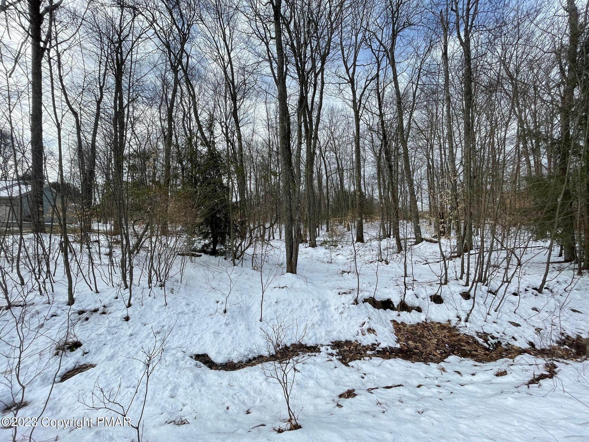 Land for Sale at H17 Wolf Hollow Road Lake Harmony, Pennsylvania 18624 United States