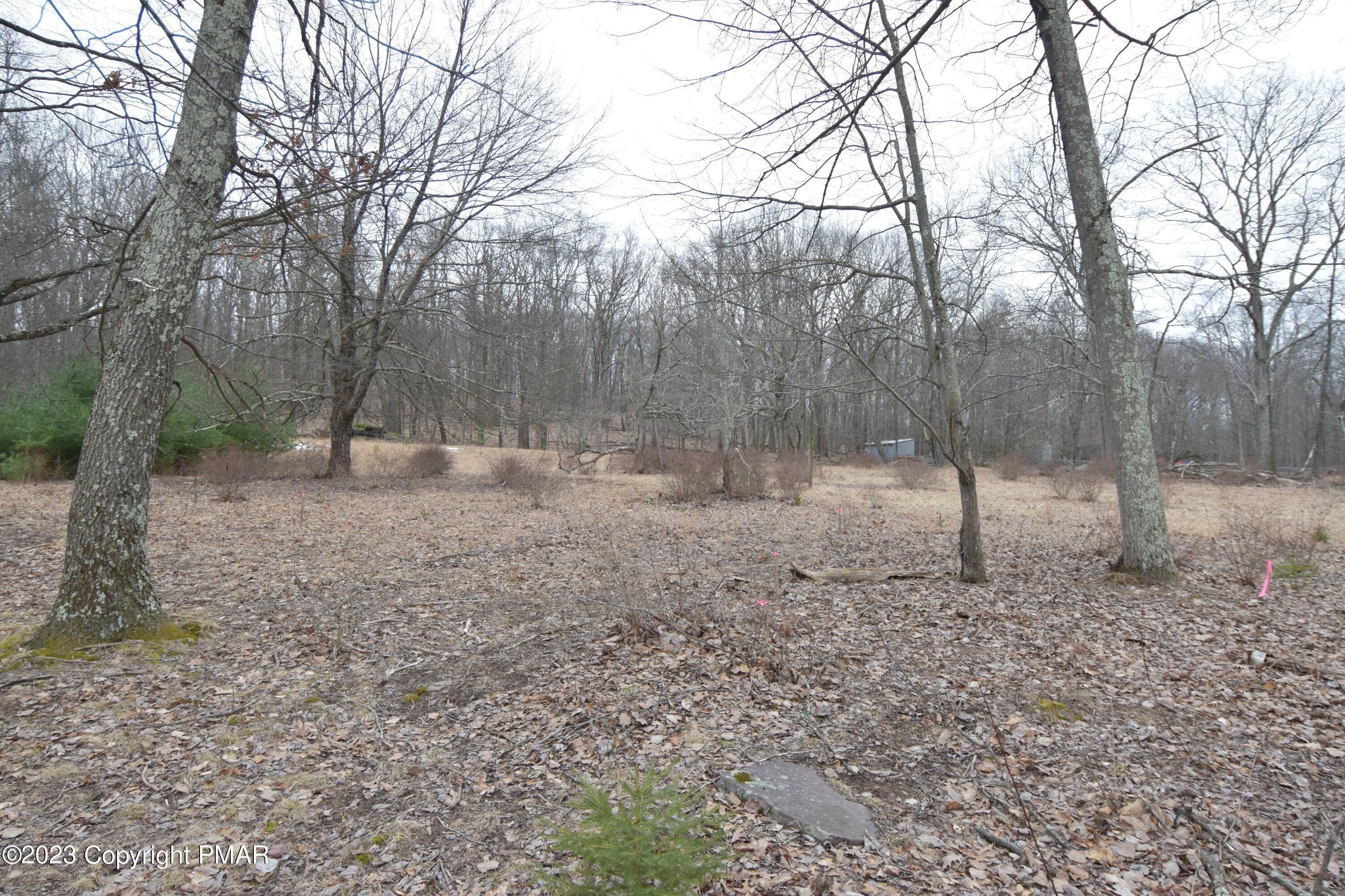 Land for Sale at Mckay /T 568 Road Henryville, Pennsylvania 18332 United States