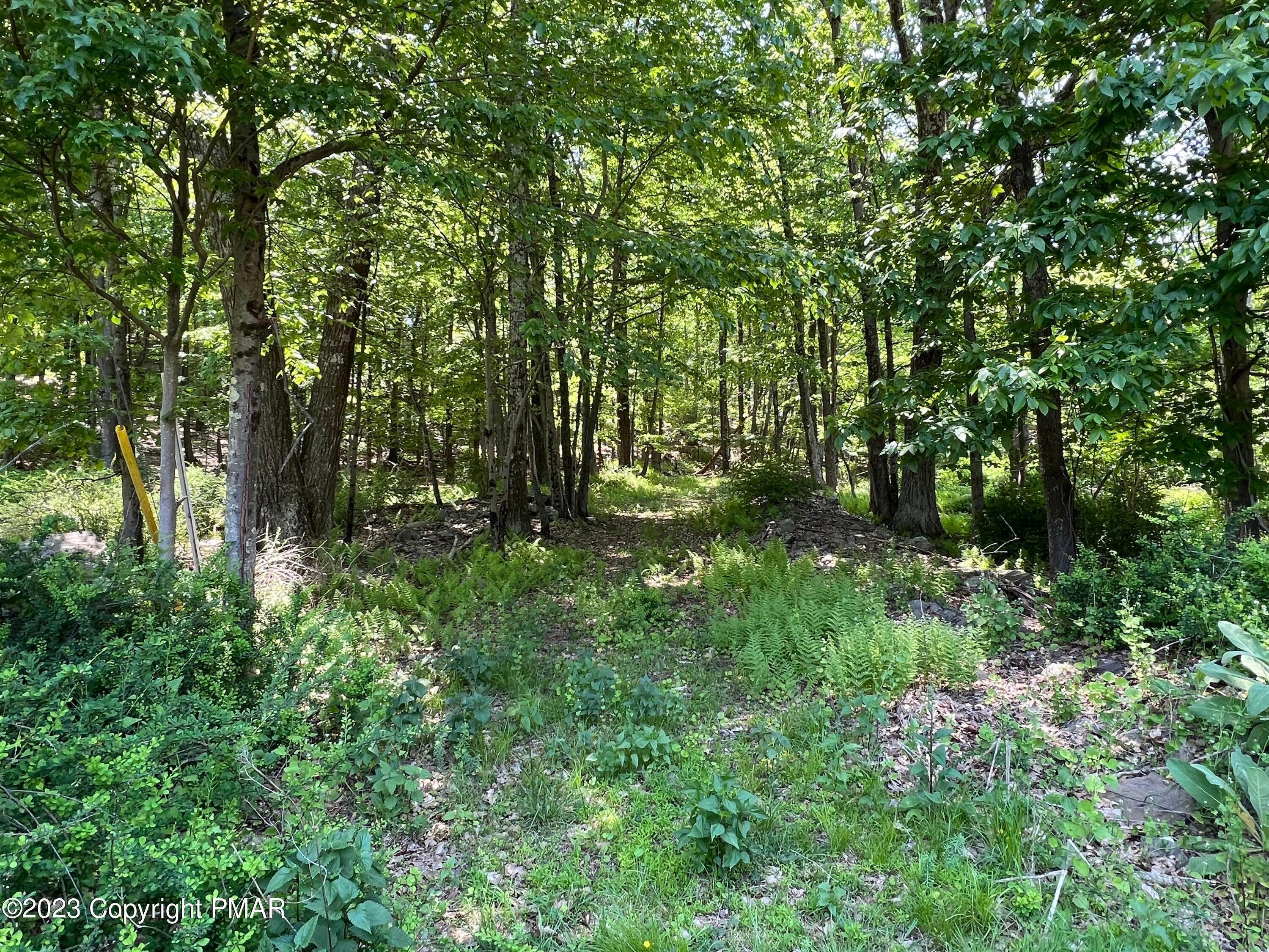 Land for Sale at Lot 11 Dyson Road Swiftwater, Pennsylvania 18370 United States