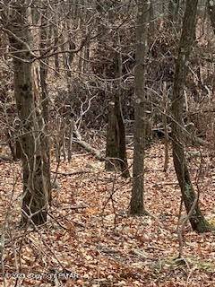 19. Land for Sale at Lot 6004 Scenic Drive Effort, Pennsylvania 18330 United States